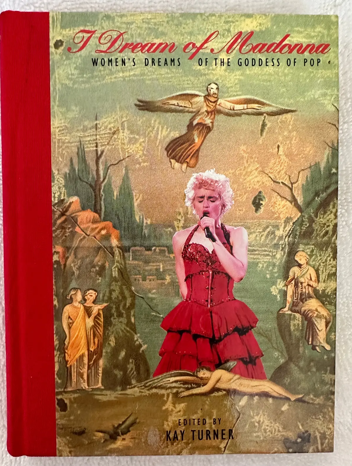 I Dream Of Madonna Book- Used 1