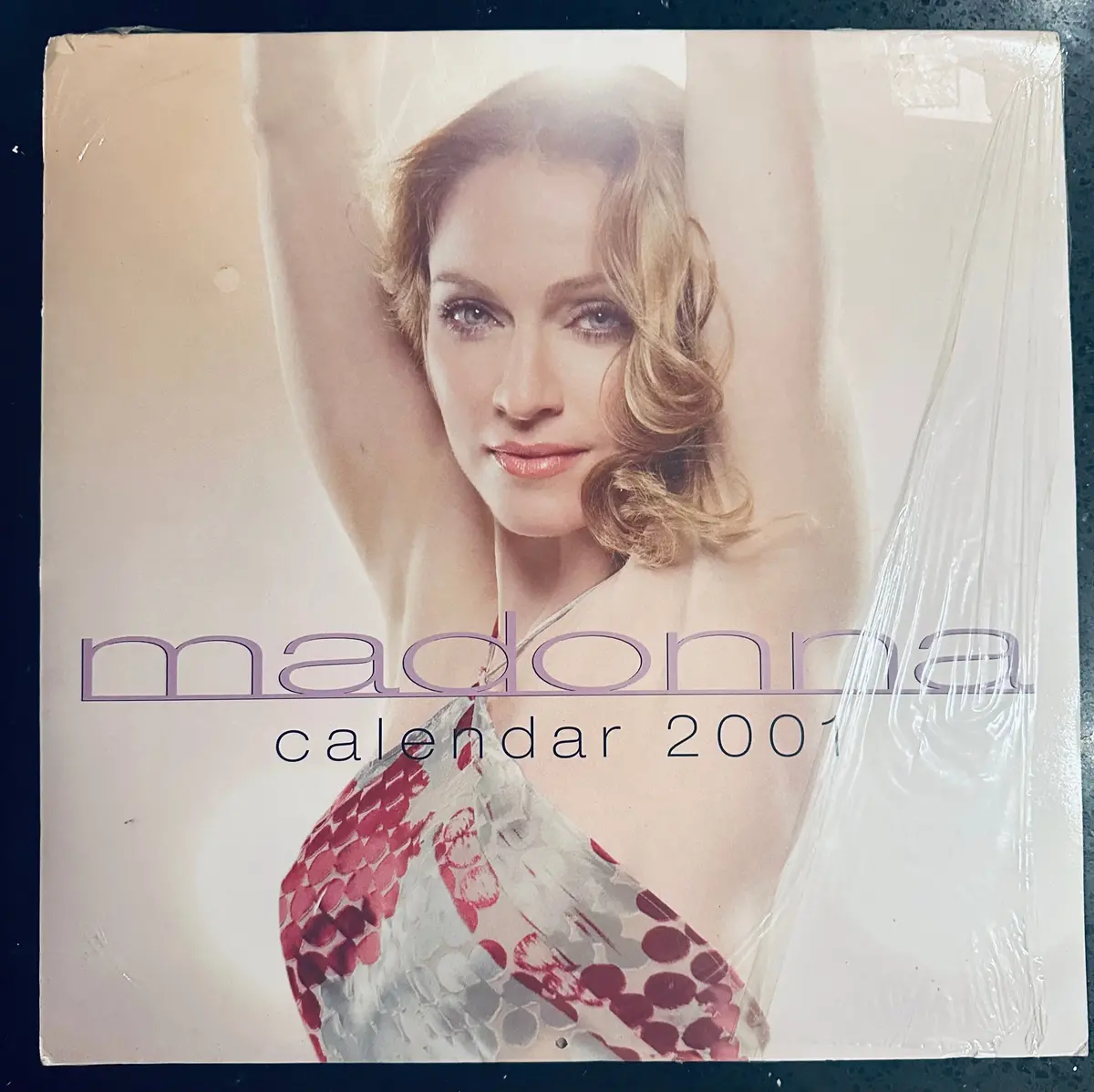 Madonna Calendar 2001 - New 1