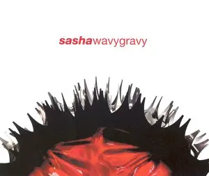 Sasha - Wavy Gravy (Import) Cd Single - Used 1
