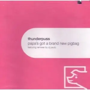 Thunderpuss - Papa's Got A Brand New Pigbag (Us Maxi Remix) Cd Single - Used 1