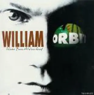 William Orbit - Water From A Vine Leaf [Cd Single] - Used 1