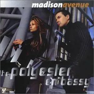 Madison Avenue -- The Polyester Embassy Single: Everything You Need Deluxe Edition Import Cd - Used 1