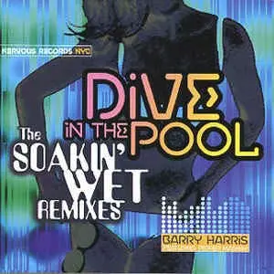 Barry Harris - Dive In The Pool: The Soakin' Wet Remixes - Cd Single - Used 1