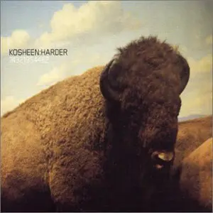Kosheen - Harder Cd1 - Import Cd Single - Used 1