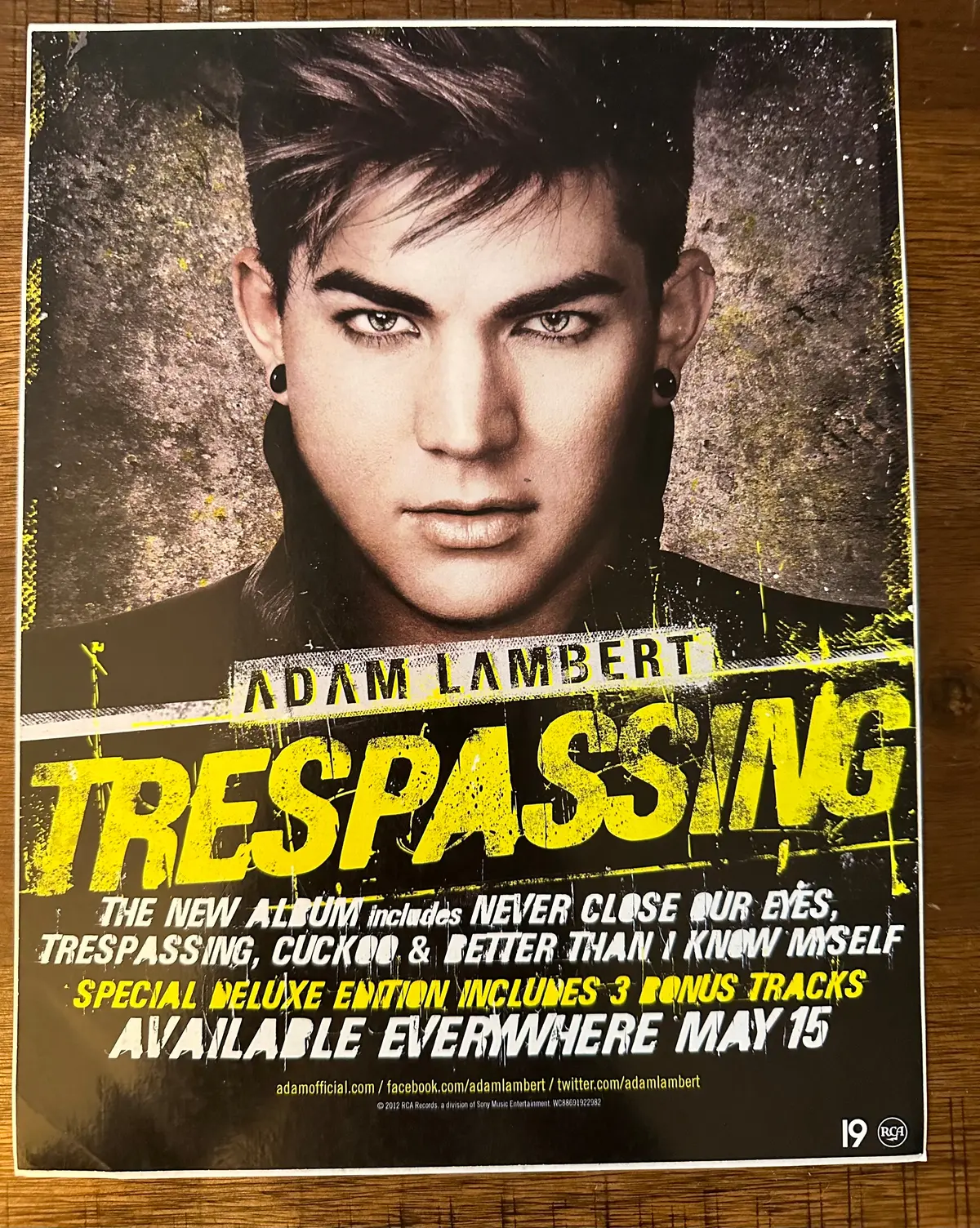 Adam Lambert Window Decal 1