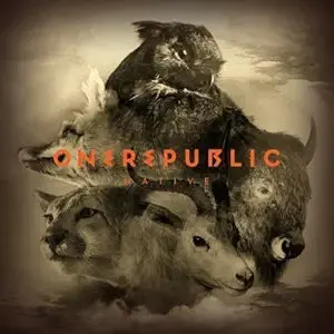 One Republic - Native Cd - Used 1