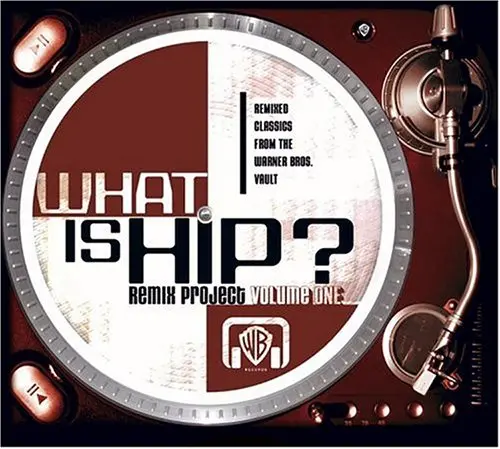 What Is Hip? Remix Project Vol. 1 (Various Original Artist Remixed) Used Cd - Promo 1