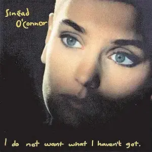 Sinead O'connor - I Do Not Want What I Haven't Got Cd - Used 1