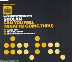 Sholan - Can You Feel (What I'm Going Thru) Import Cd Single - New 1