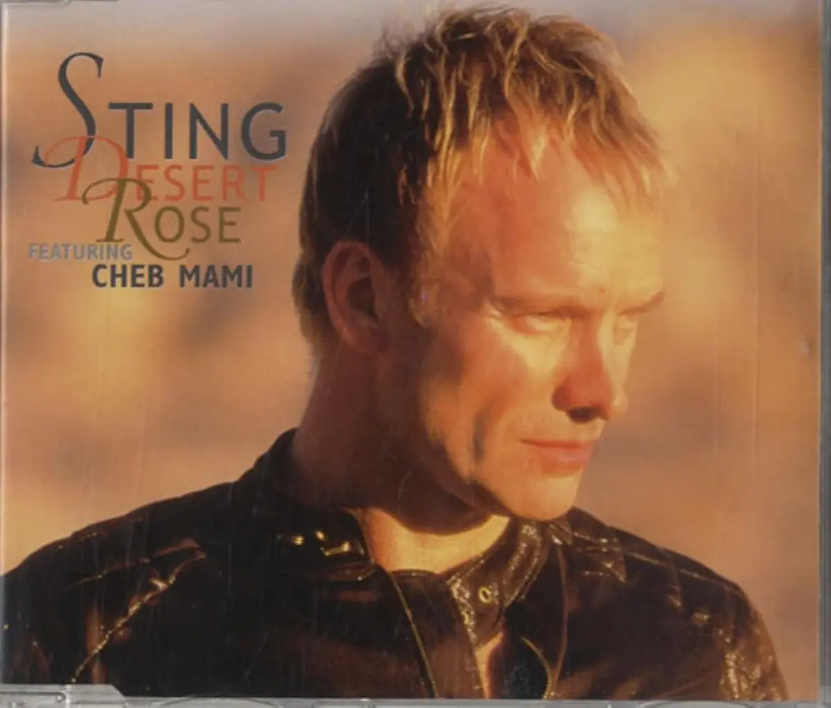 Sting - Desert Rose / Brand New Day (Us) Remix Cd Single - Used 1