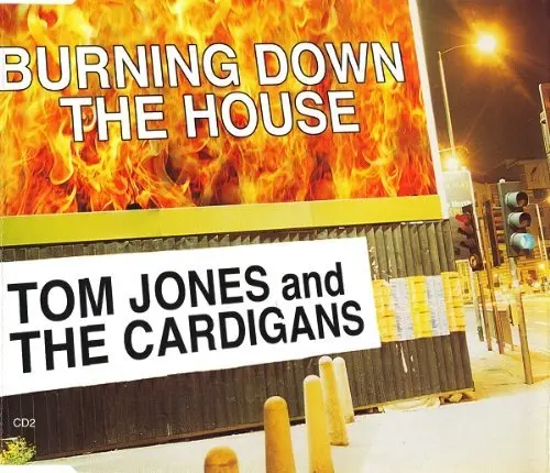 Tom Jones And The Cardigans - Burning Down The House (Import) Cd Single - Used 1