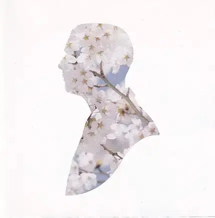 Pet Shop Boys -- Miracles  (Uk Cd Single)  Used 1