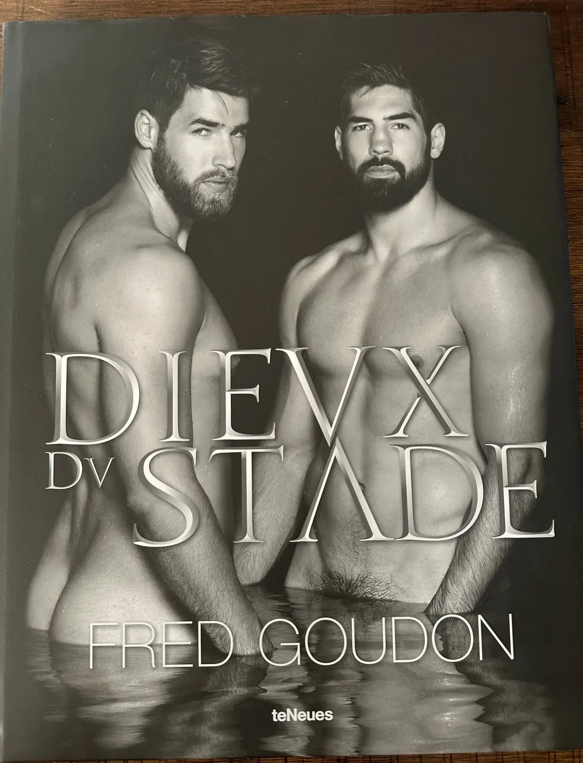 Dieux Dv Stade Hardcover Book By Fred Goudon - Used (Usa  Orders Only) 1