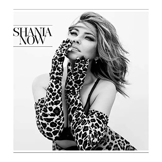 Shania Twain -- Now  Standard Cd- Used 1