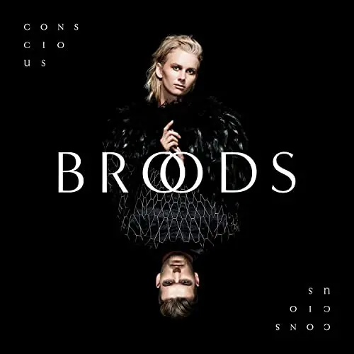 Broods - Conscious Used Cd 1