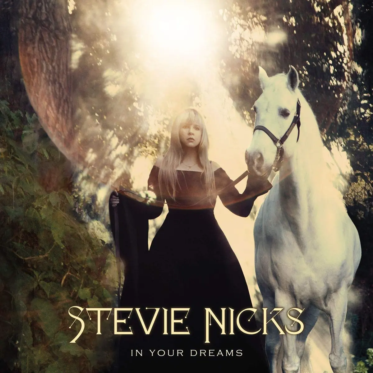 Stevie Nicks - In Your Dreams Cd - Used 1