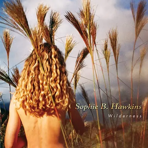 Sophie B. Hawkins - Wilderness+ Bonus Track - Cd - Used 1