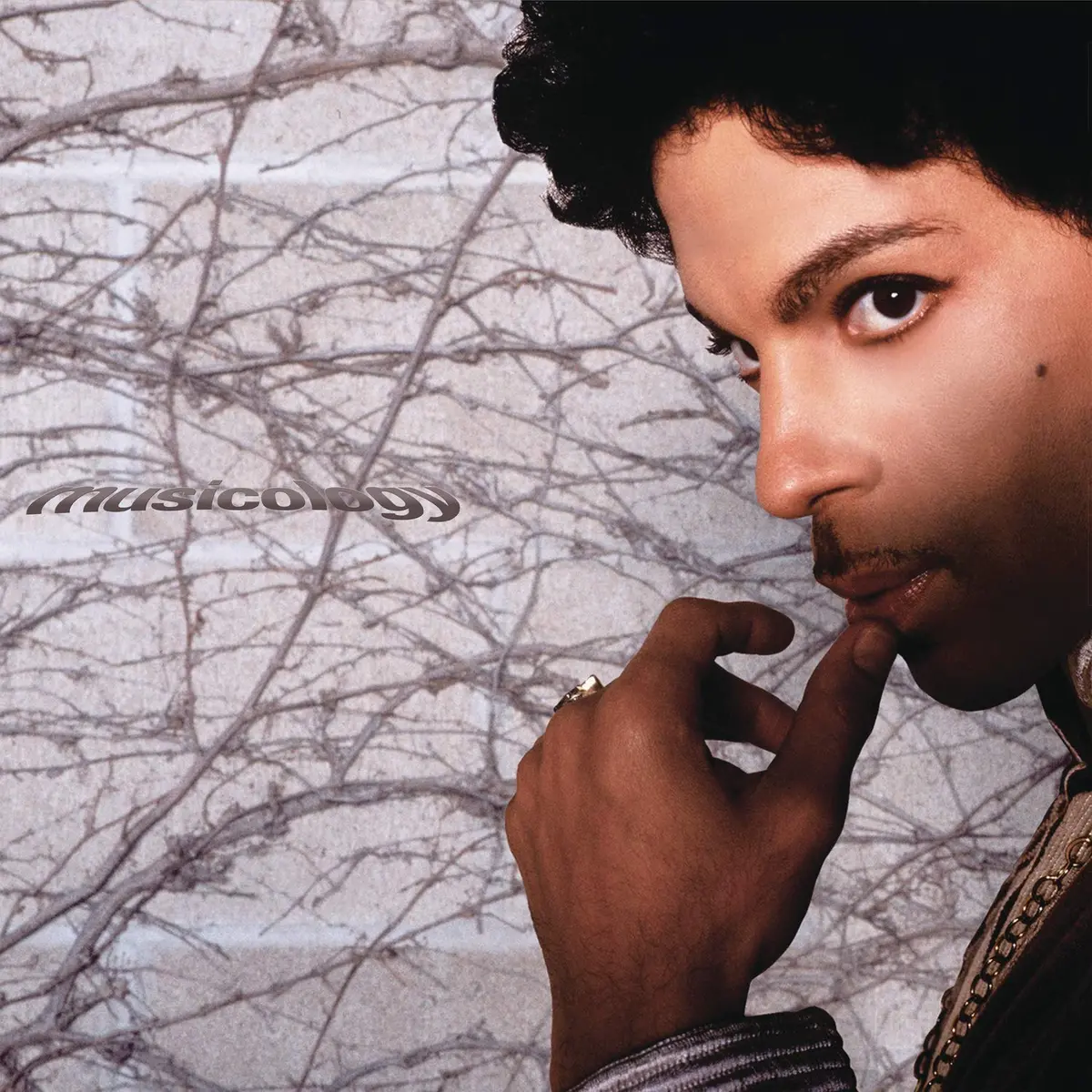 Prince - Musicology 2Xlp Purple Vinyl -- New (Us Orders Only) 1