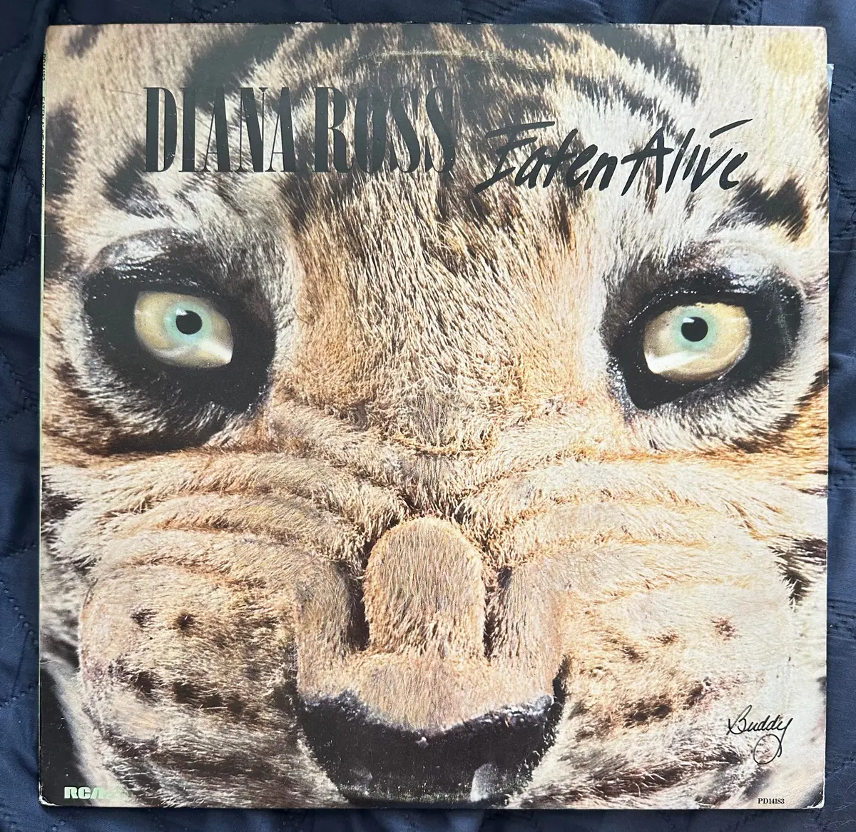Diana Ross - Eaten Alive 12" Lp Vinyl - Used 1