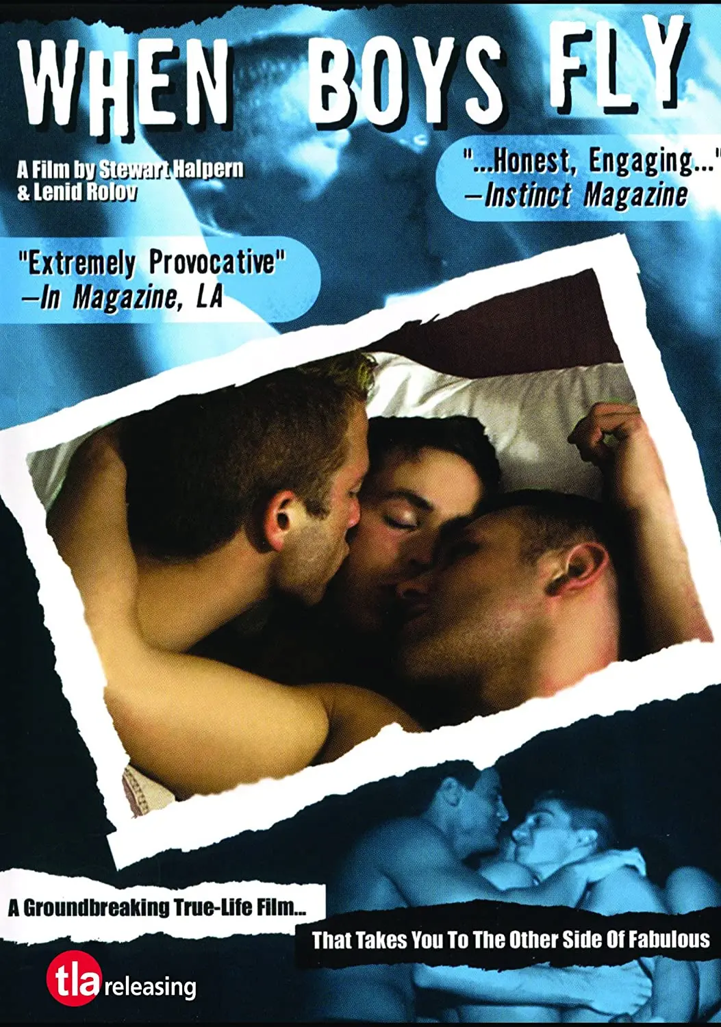 When  Boys Fly (Lgbtq+ Film) Dvd- Used 1