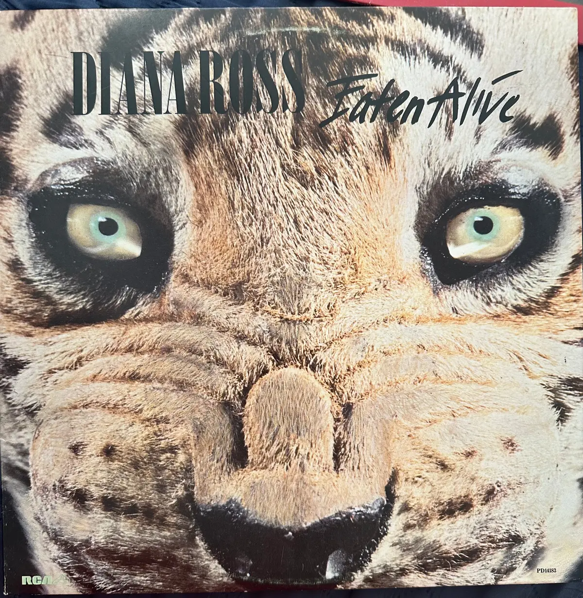 Diana Ross -- Eaten Alive 12" Single Lp Vinyl - Used 1