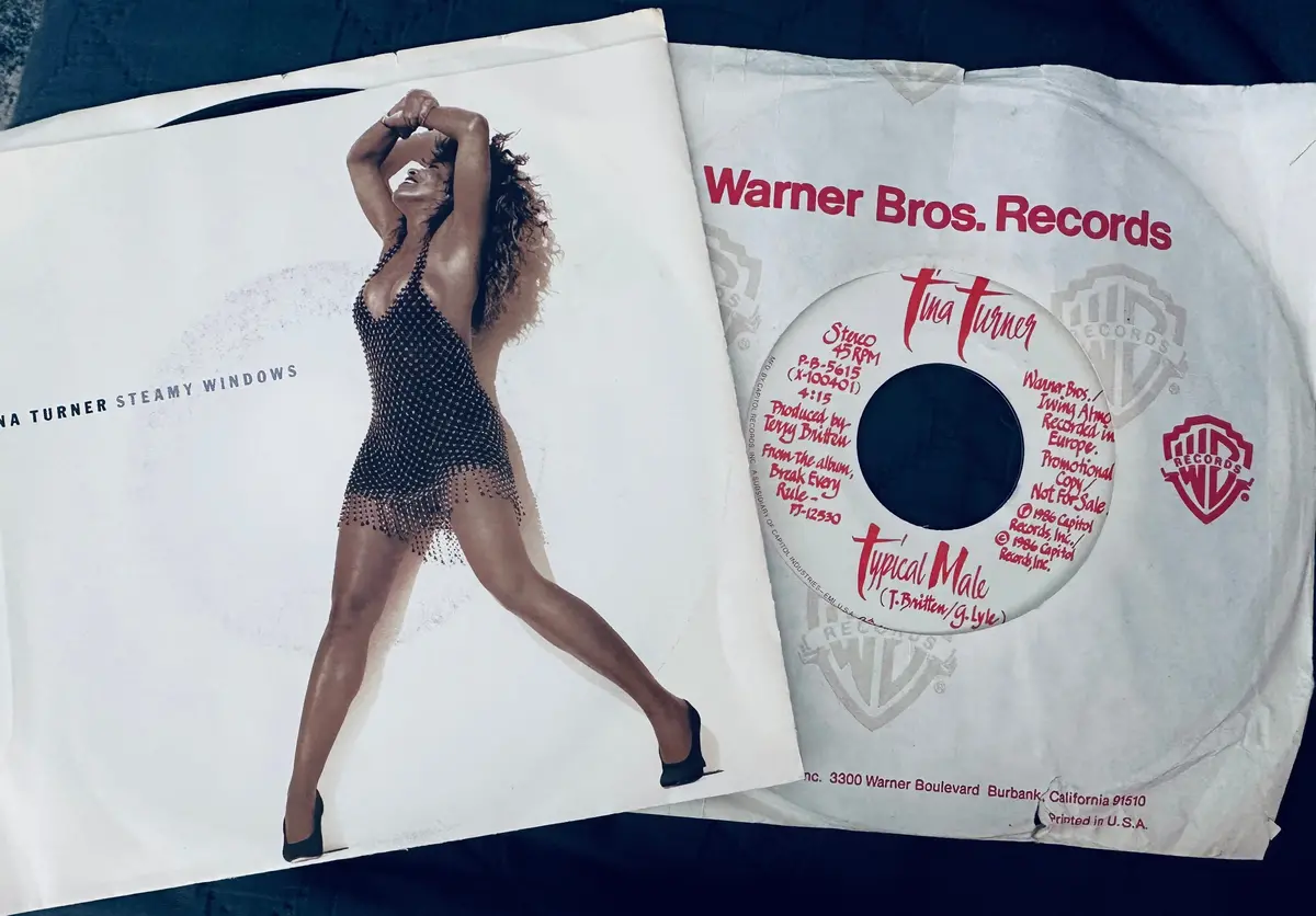 Tina Turner Two 7” 45 Records  Typical Male (Promo) / Steamy Windows - Used 1