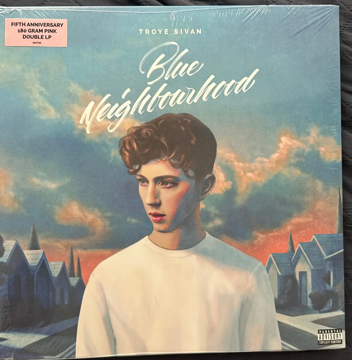 Troye Sivan - Blue Neighborhood 5Th Anniversary Pink Double Vinyl Lp - New (Us Orders Only) 1