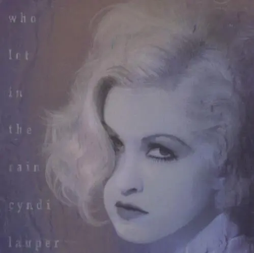 Cyndi Lauper - Who Let In The Rain / Cold  Cd Single - Used 1