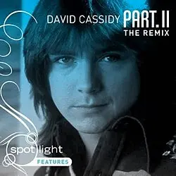 David Cassidy - Part. Ii The Remix Limited Collector's Edition Cd - Used 1