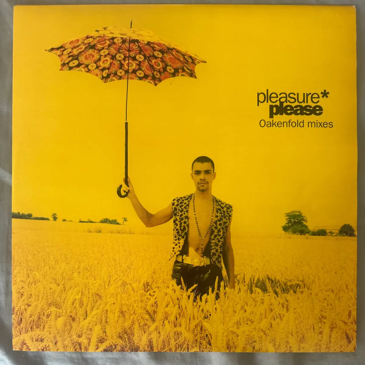 Pleasure Please Paul Oakenfold Mixes 12"  Lp Vinyl Single Used 1990 1
