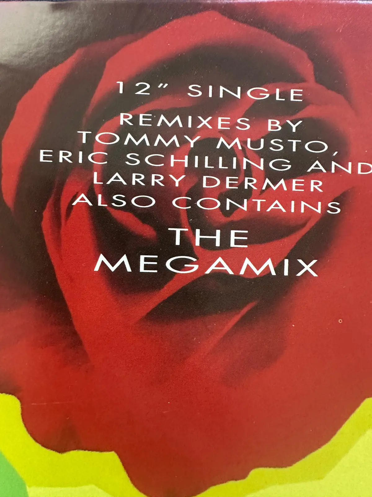 Gloria Estefan - Go Away 12" Single Lp Vinyl Plus Mega Mix - Used 2