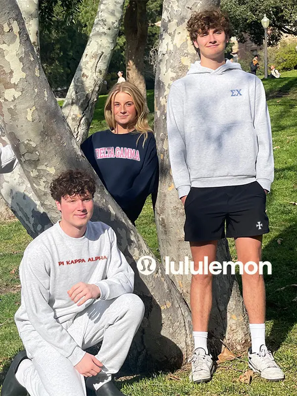 Psi Upsilon Lululemon Steady State Hoodie - Owl 4