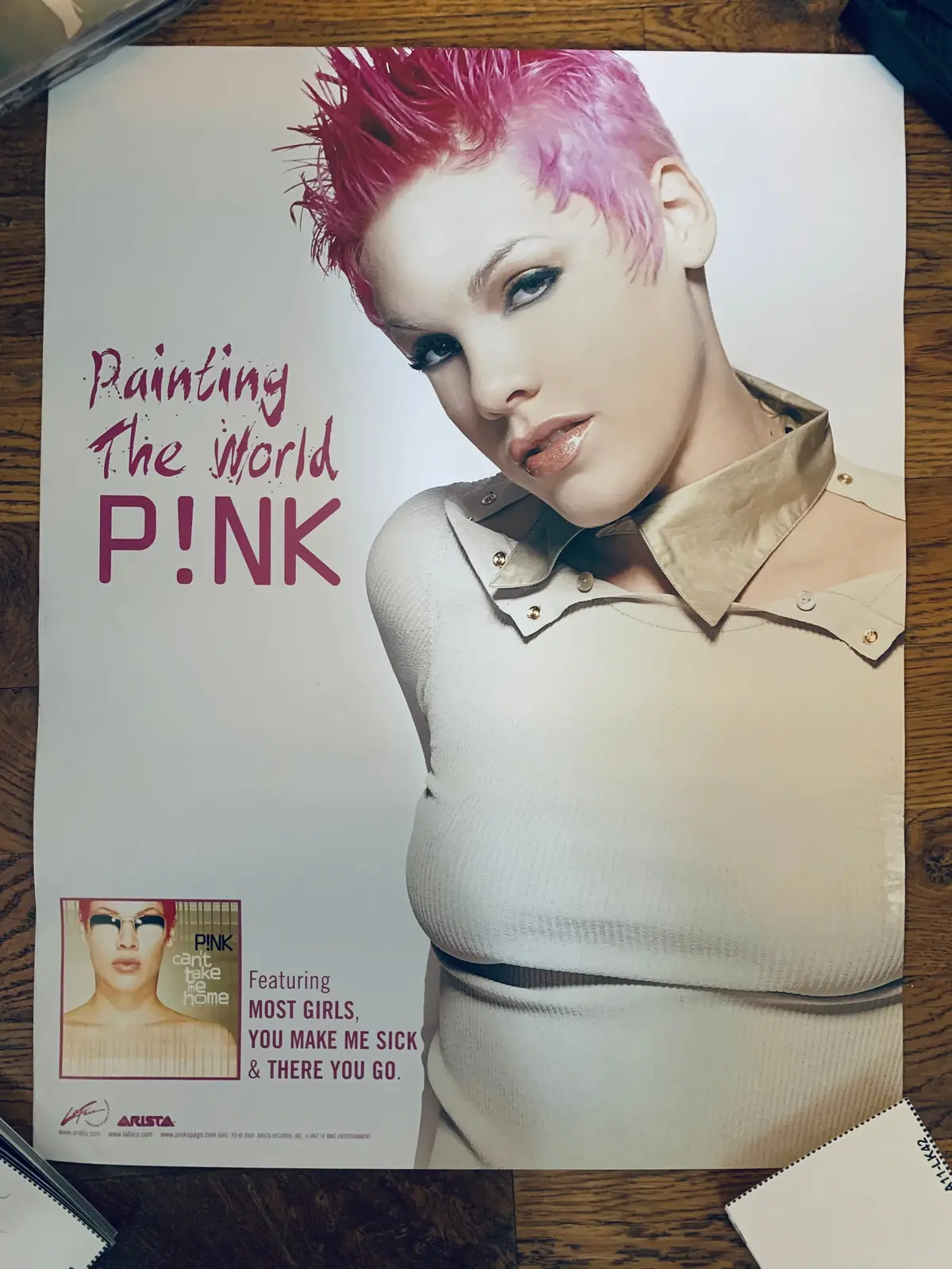 P!Nk - You Can't Take Me Home Promotional Poster 18X24 1