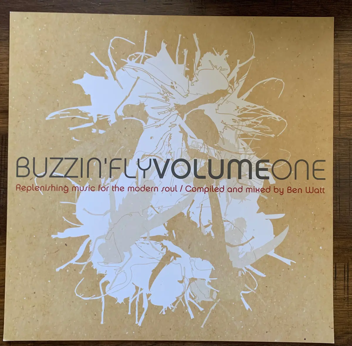 Ben Watt (Ebtg) - Promo Flat 12X12"  -Buzzin' Fly Vol.1   -Used 1