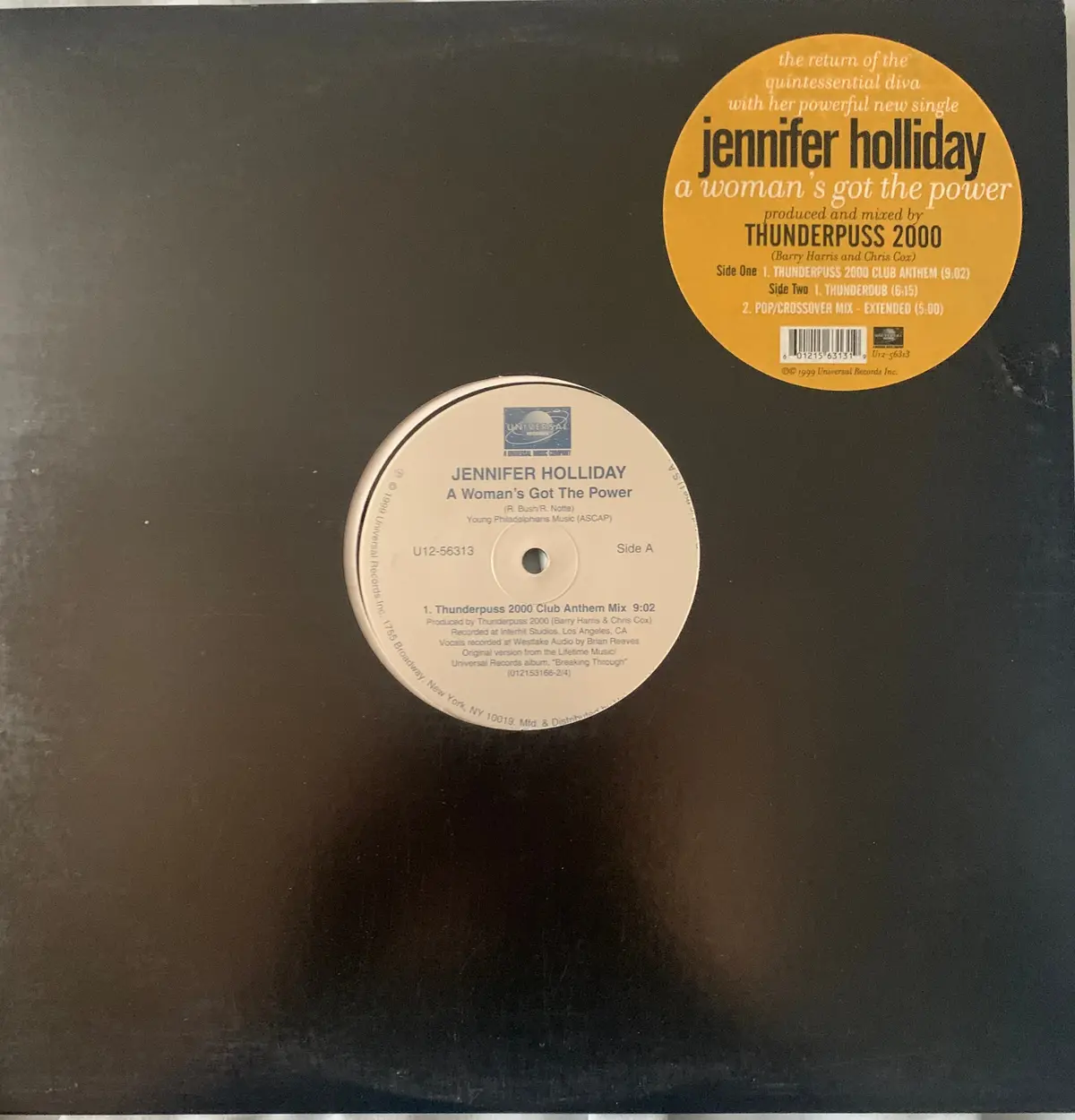 Jennifer Holliday - A Woman's Got The Power (Thunderpuss) 12" Lp Vinyl - Used 1