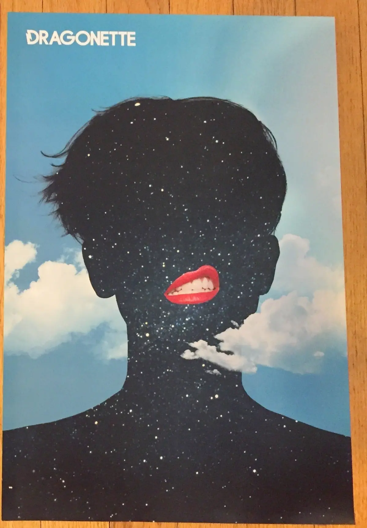 Dragonette -  Promotional Poster - Official  11X17 1