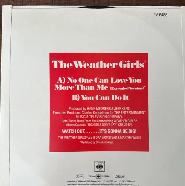 The Weather Girls - No One Can Love You More Than Me 12" Lp Import Single Vinyl - Used 2