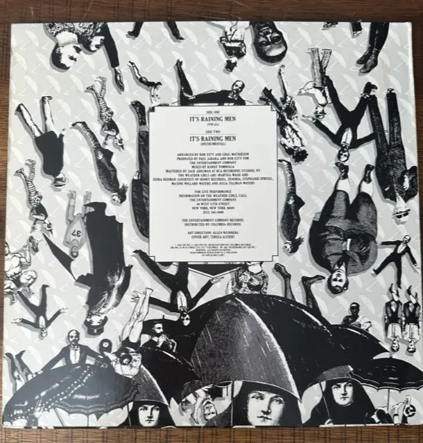 The Weather Girls - It's Raining Men - 12" Lp Single Vinyl - Used 2