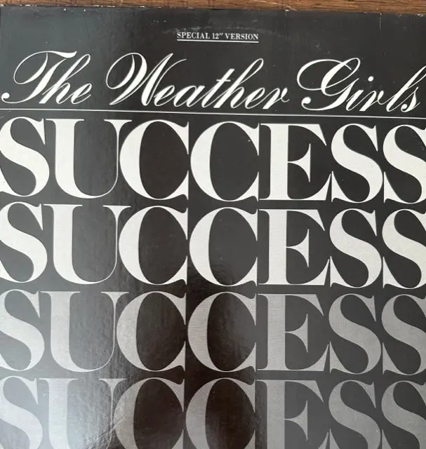 The Weather Girls - Success - 12" Lp Single Vinyl - Used 1