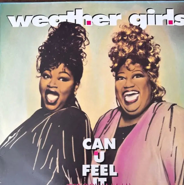 The Weather Girls - Can U Feel It (Dee Ooh La La) 12" Lp Import Single - Used 1