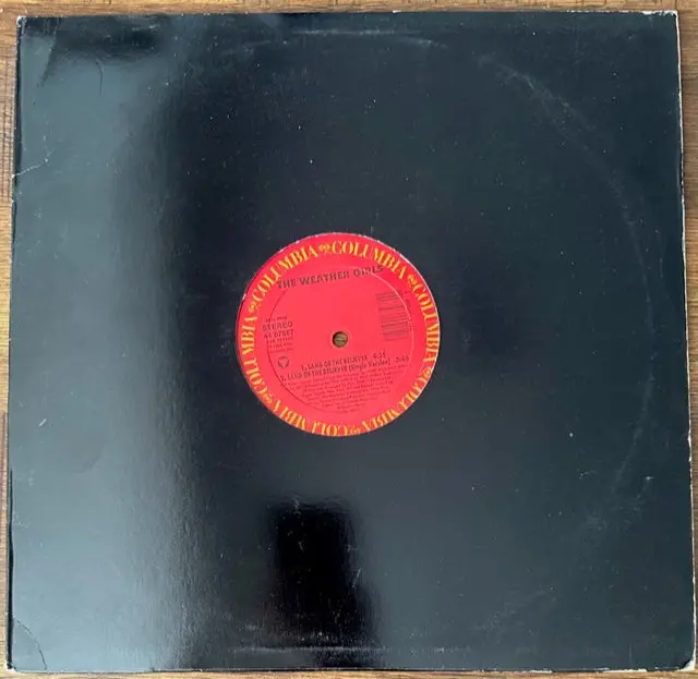 The Weather Girls - Land Of The Believer 12" Lp Single - Used 1