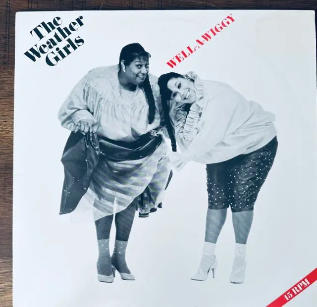 The Weather Girls - Well-A-Wiggy 12" Lp Single - Used 1