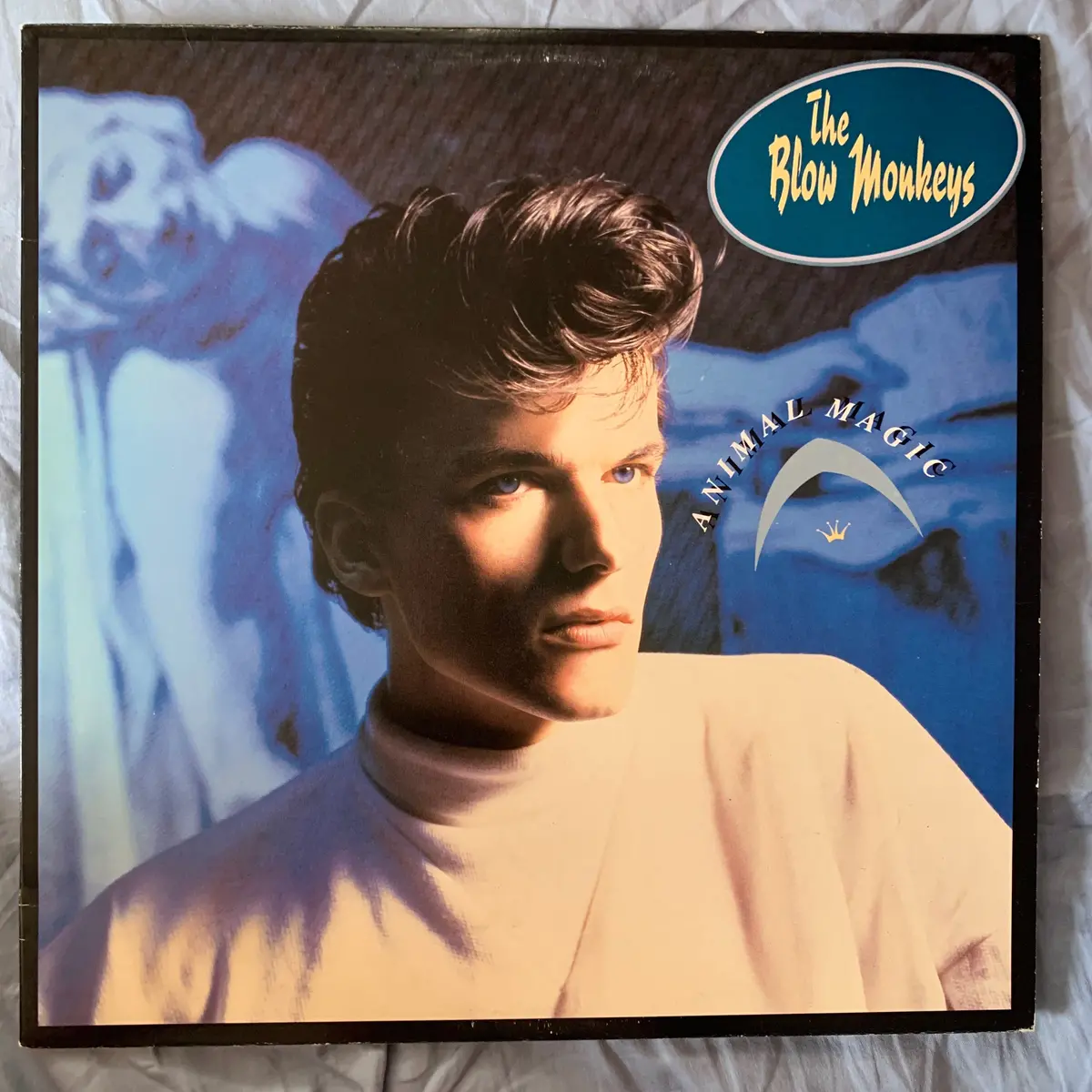 The Blow Monkeys - Animal Magic Lp Vinyl - Used 1