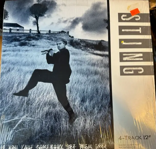 Sting - If You Love Someone Set Them Free   12" Lp Vinyl Single - Used 1