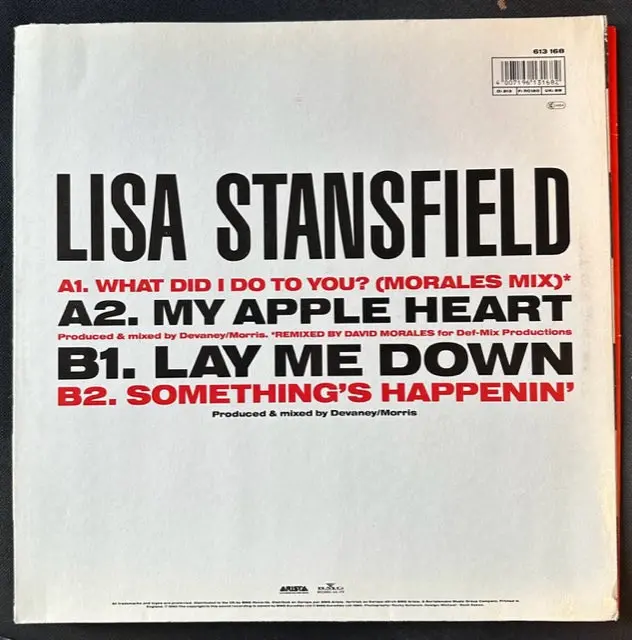 Lisa Stansfield - What Did I Do To You ? (Import) 12" Single Lp Vinyl - Used 2
