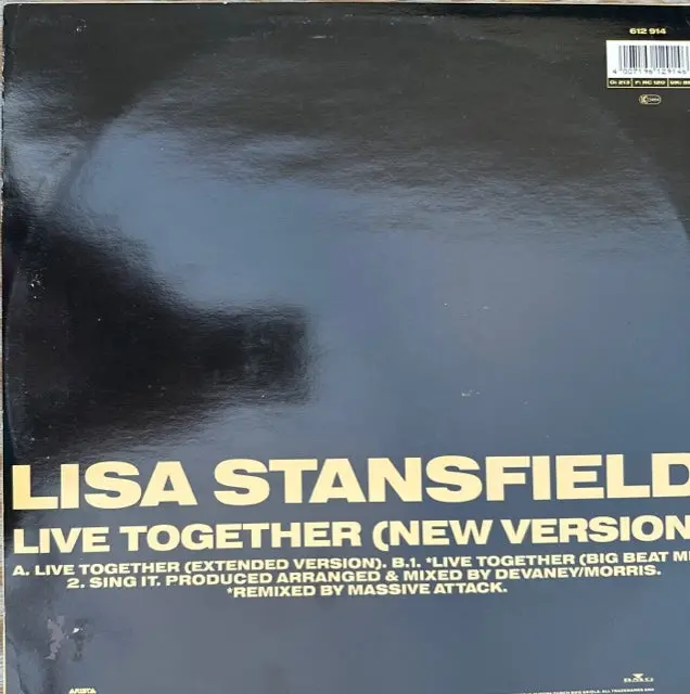 Lisa Stansfield - Live Together (Import) 12" Single Lp Vinyl - Used 2