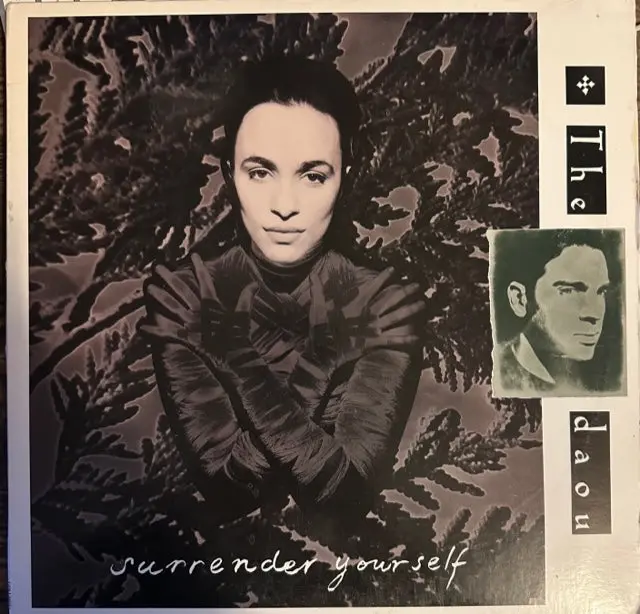 The Daou (Vanessa) -  Surrender Yourself 12" Single (Danny Tenaglia Remix) Lp Vinyl - Used 1