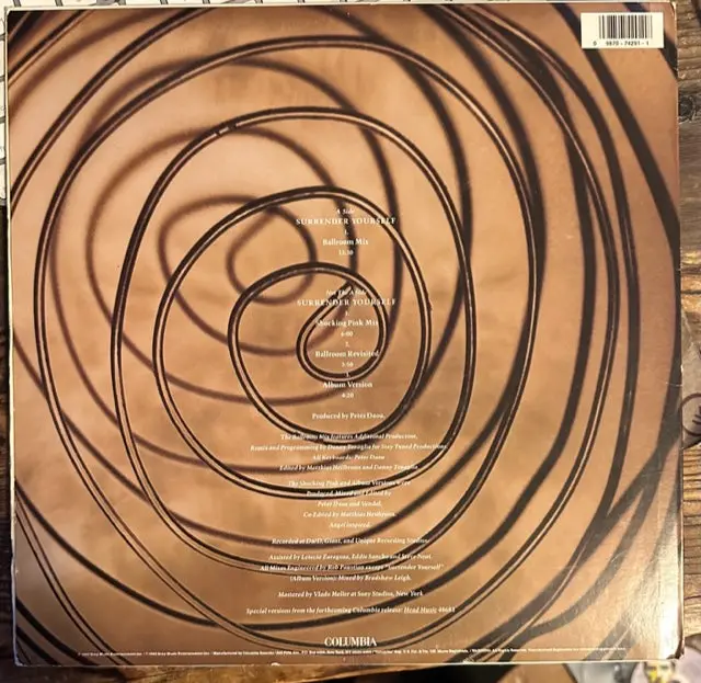The Daou (Vanessa) - Surrender Yourself 12" Single (Danny Tenaglia Remix) Lp Vinyl - Used 2
