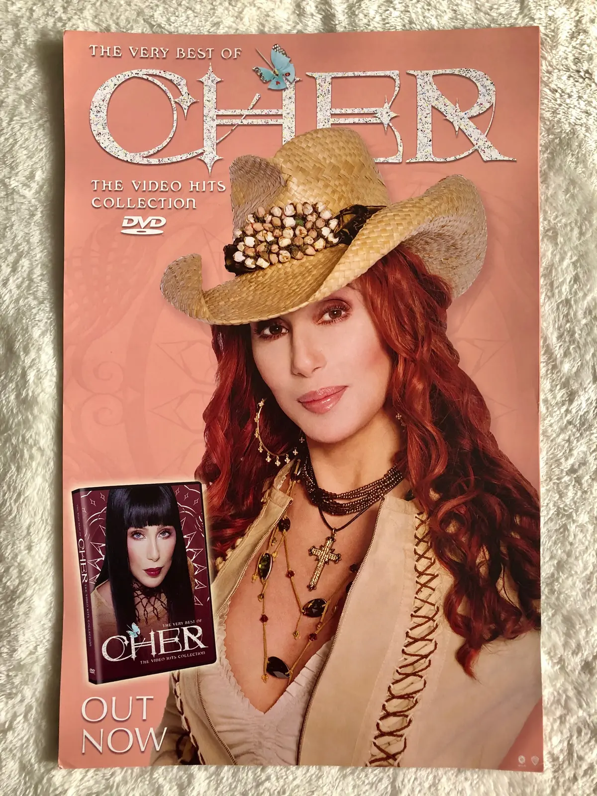 Cher - The Very Best Of Cher The Video Hits Collection (Red Hair) - Promo Poster 1