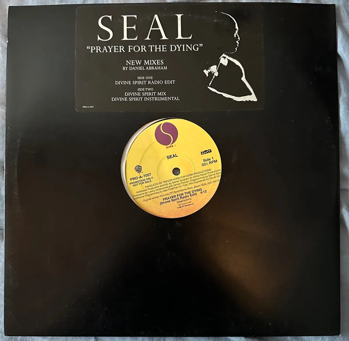 Seal - Prayer For The Living   - 12" Single Lp Vinyl -- Used 1